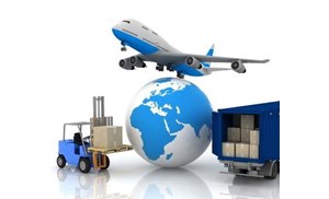 寵物進行航空快運前需要做哪些準備？